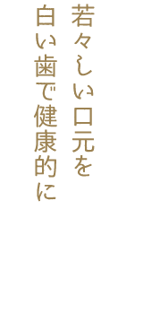 見出しが入ります