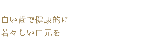 見出しが入ります